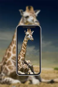 Animal Wallpapers in4K,HD screenshot 2
