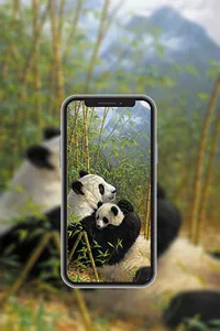 Animal Wallpapers in4K,HD screenshot 3