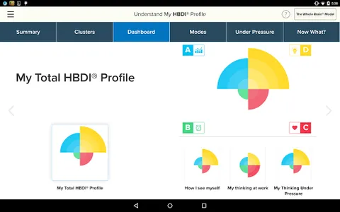 HBDI® screenshot 14