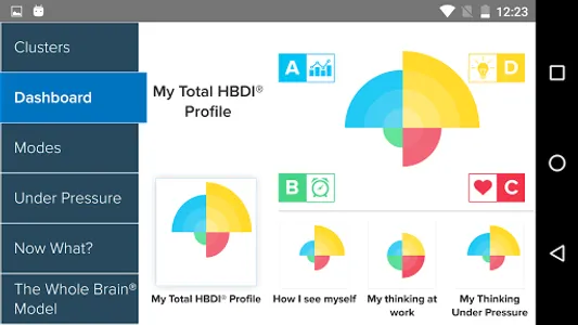 HBDI® screenshot 4