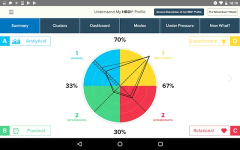HBDI® screenshot 6