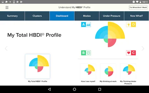HBDI® screenshot 9