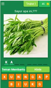 NAMA SAYURAN screenshot 5