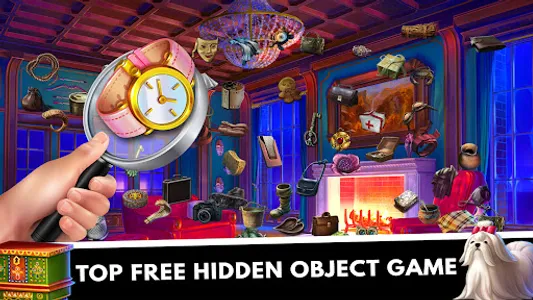 Hidden Object : Mystery Castle screenshot 0