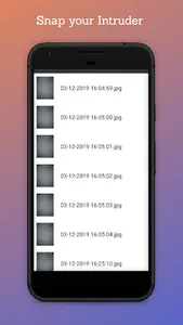 Hidden Gallery Vault: Lock Pic screenshot 4