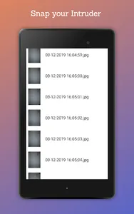 Hidden Gallery Vault: Lock Pic screenshot 9