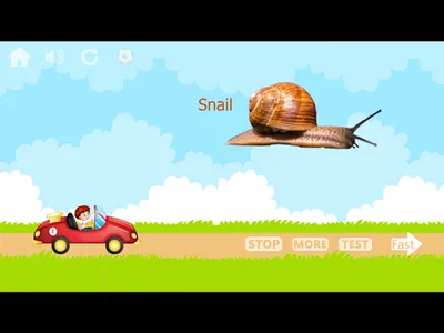 100 Animals and Birds for kids screenshot 15