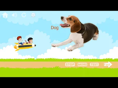 100 Animals and Birds for kids screenshot 19