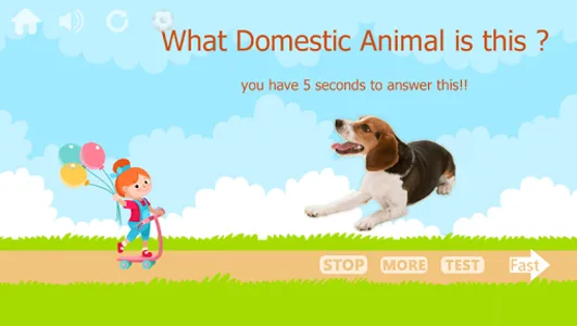 100 Animals and Birds for kids screenshot 6