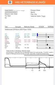 Hig Veteriner Kliniği screenshot 4