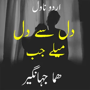 Dil Say Dil Mily Jab Novel screenshot 0
