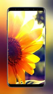 Flowers and Roses Wallpapers F screenshot 2