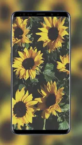 Flowers and Roses Wallpapers F screenshot 6