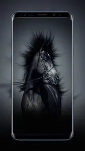 Horses Wallpapers HD Live Beau screenshot 1