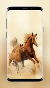 Horses Wallpapers HD Live Beau screenshot 2