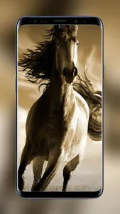 Horses Wallpapers HD Live Beau screenshot 4