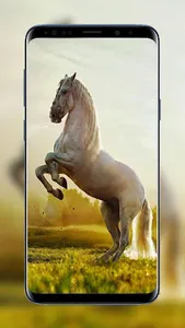 Horses Wallpapers HD Live Beau screenshot 5