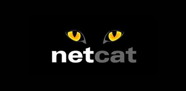 GHE - Netcat screenshot 2