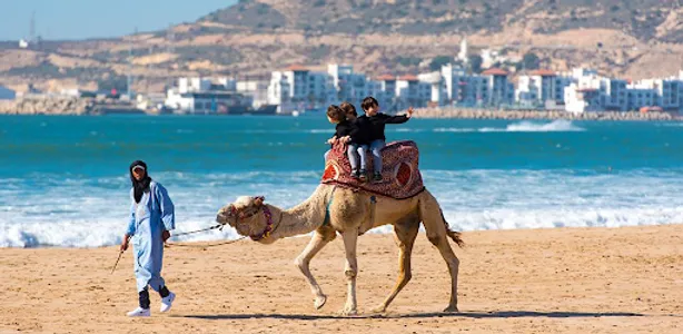 Histoire du Morocco screenshot 2