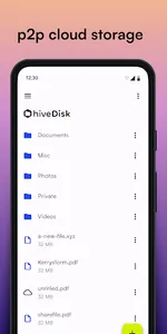 hiveDisk screenshot 3
