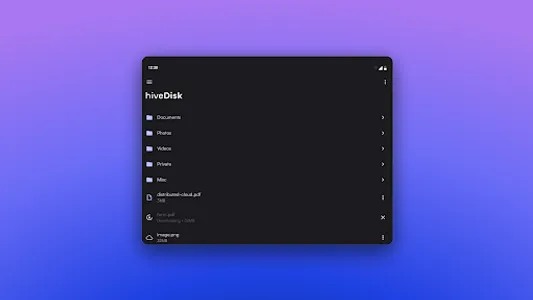 hiveDisk screenshot 4