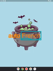 Auto French (French Vocab) screenshot 10