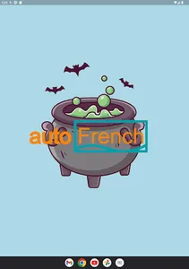 Auto French (French Vocab) screenshot 12