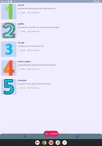 Auto French (French Vocab) screenshot 13