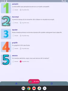 Auto French (French Vocab) screenshot 8