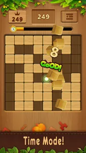 Wood Blocks Puzzle Game screenshot 10