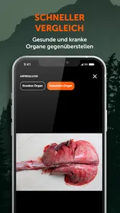 Wildkrankheiten erkennen screenshot 4