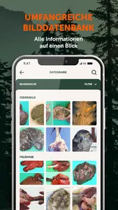 Wildkrankheiten erkennen screenshot 5