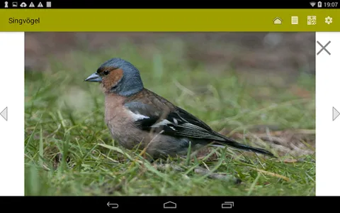 NSG Kanton Bern screenshot 5