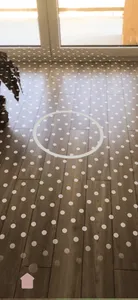 Holohome AR screenshot 6