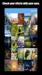 Puzzle Be screenshot 2