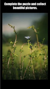 Puzzle Be screenshot 3