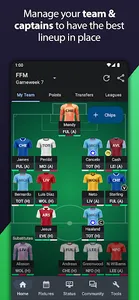 Fantasy Football Manager Pro screenshot 0