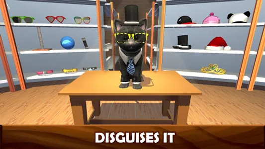 Daily Kitten : virtual cat pet screenshot 13