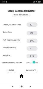Black Scholes Calculator screenshot 6