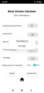 Black Scholes Calculator screenshot 7