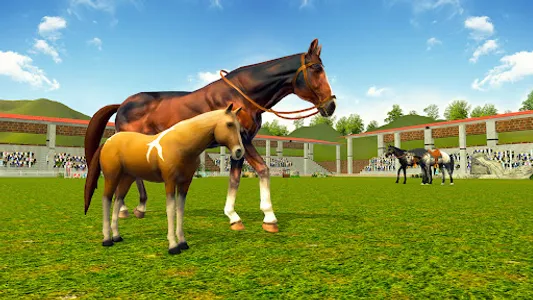 Star Horse Game-Horse Riding screenshot 7