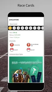 Spectacular HorseRace screenshot 4