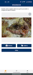Invasoras BR screenshot 1