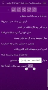 امیرخسرو دهلوی screenshot 2