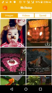 MeStatus (Status Downloader Ap screenshot 3