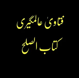 فتاویٰ عالمگیری_ جلد 6 screenshot 4