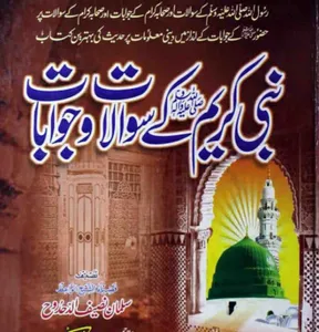 Dawat e Islami screenshot 0
