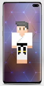 Sensei Skin for Minecraft screenshot 14