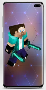 Steve Skin for Minecraft screenshot 0