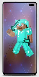 Steve Skin for Minecraft screenshot 1